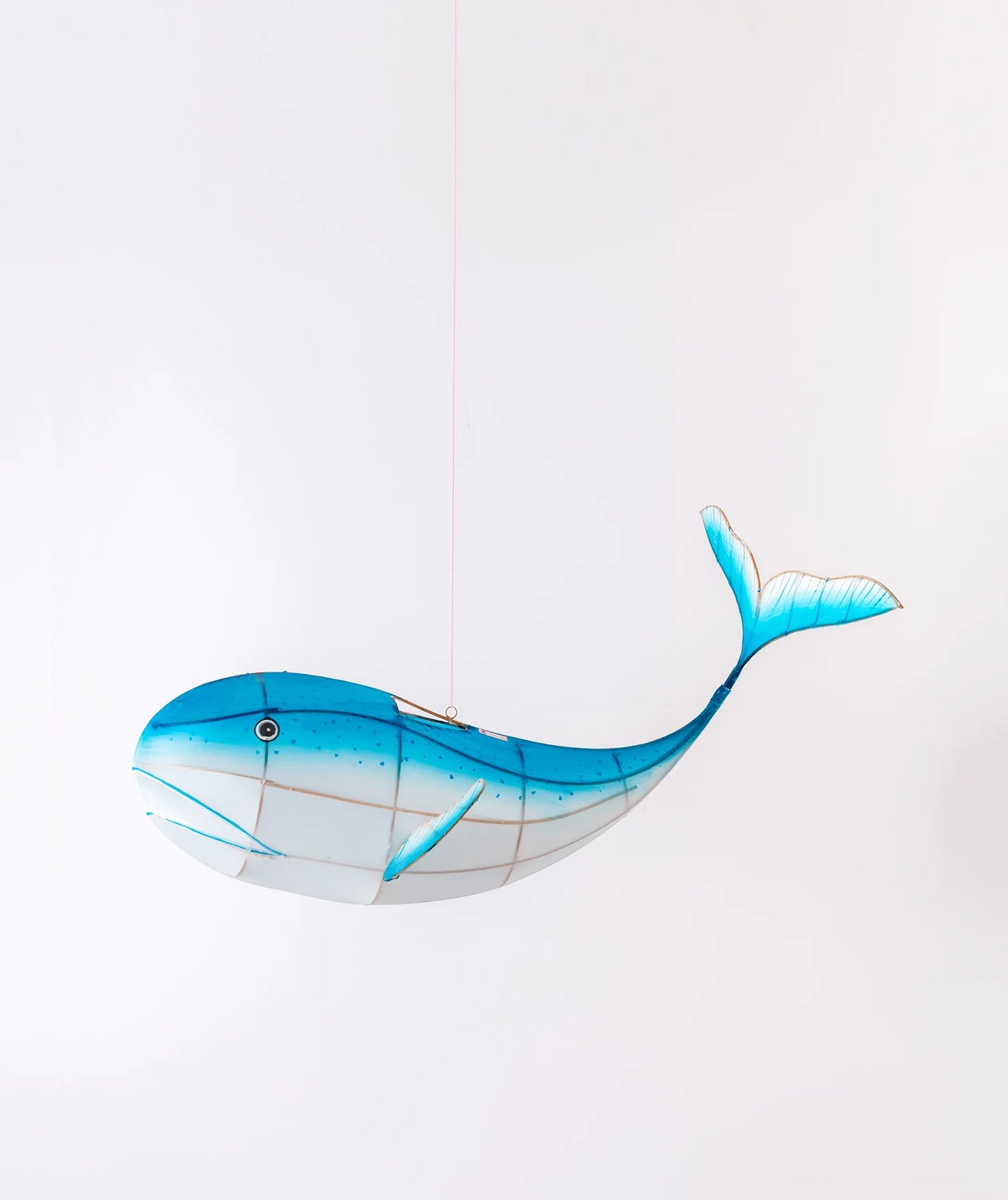 Petit Pan ★ Walvis lantaarn ★ blauw